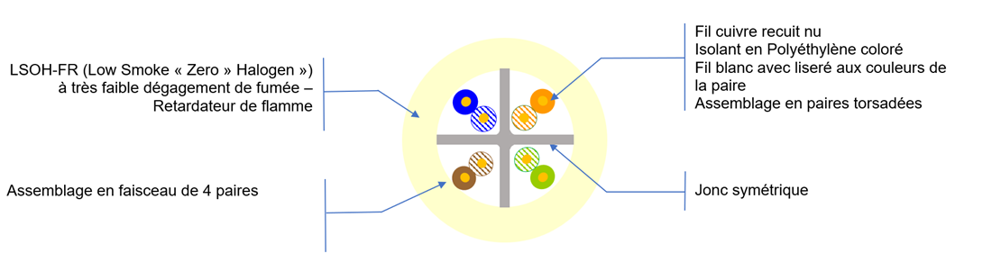 Vue de coupe Cat 6 U/UTP