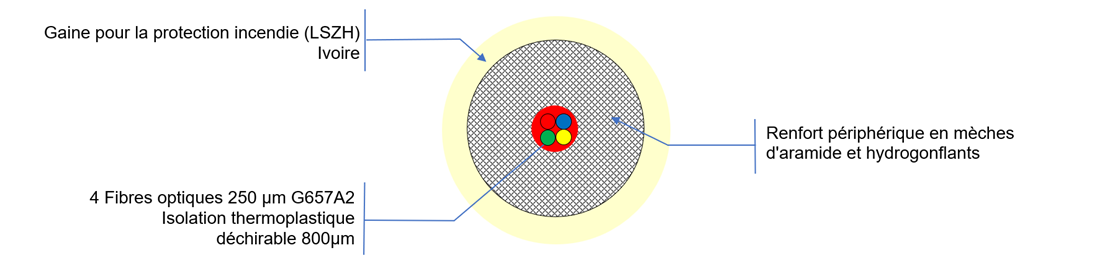 Vue de coupe Kit DTIo 4 Fo