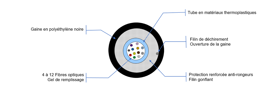 Vue de coupe CLT RENFORCE PE