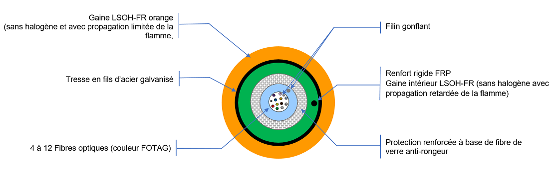 Vue de coupe CR1-FO/C1 ACOFLAM
