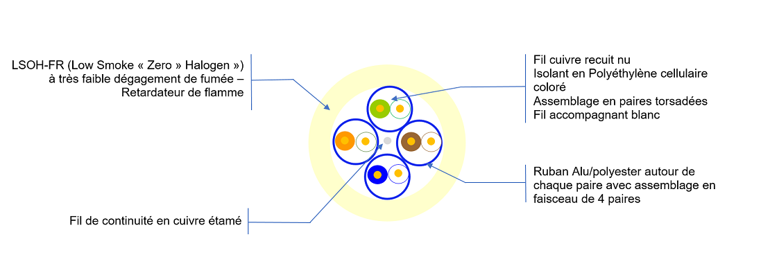Vue de coupe Cat 6a U/FTP