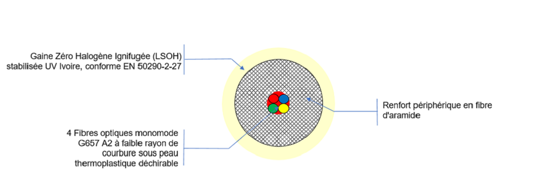 Vue de coupe COR1857