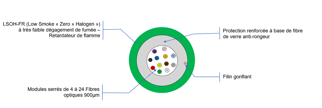 Vue de coupe MBO RENFORCE ZH