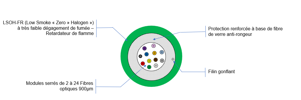 Vue de coupe MBO STANDARD CCA ZH ACOLAN OPTIQUE