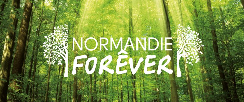 Visuel d'un paysage normand