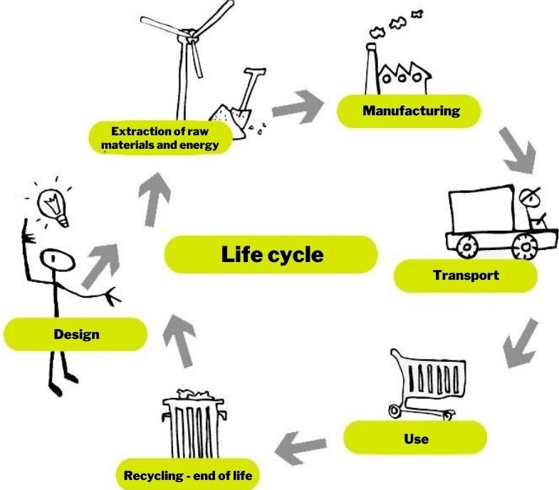 Life cycle