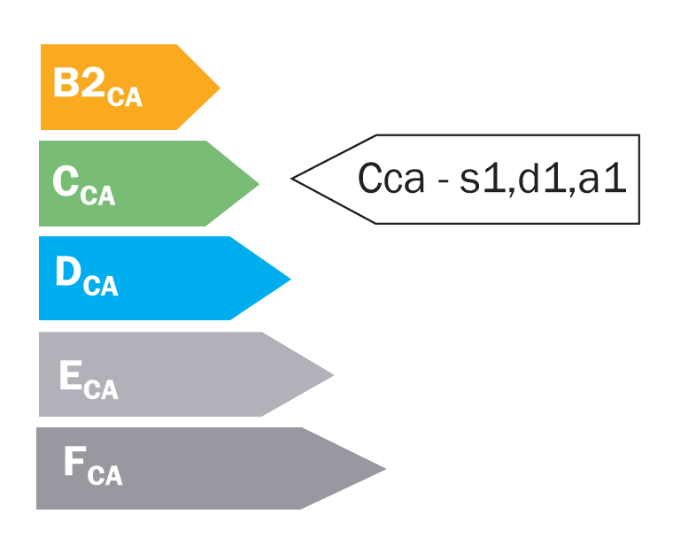 CPR Fahne Cca