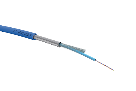 CLE ARME BLEU