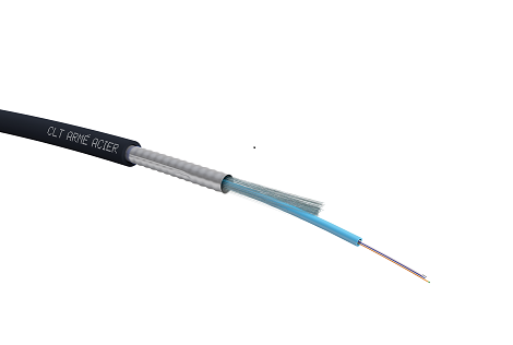 CLT ARME ACIER NOIR